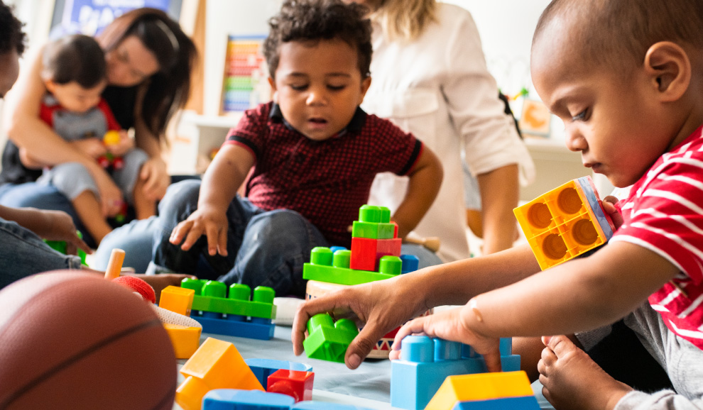 Vetcares-Programs-MVEG-middle